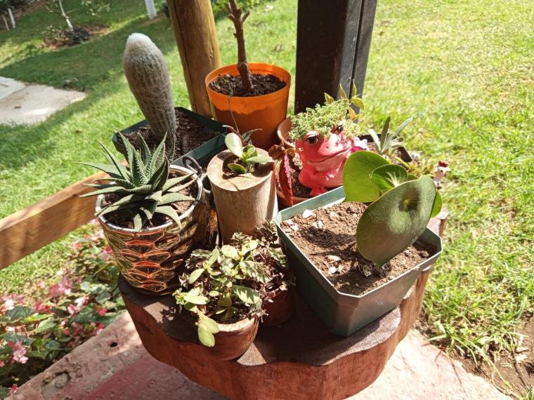 Galería