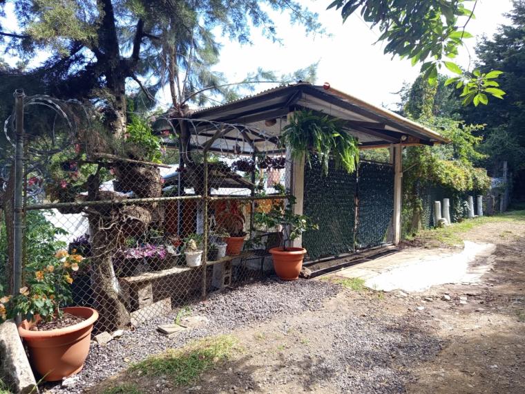 Galería