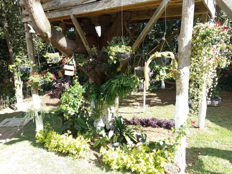 Galería