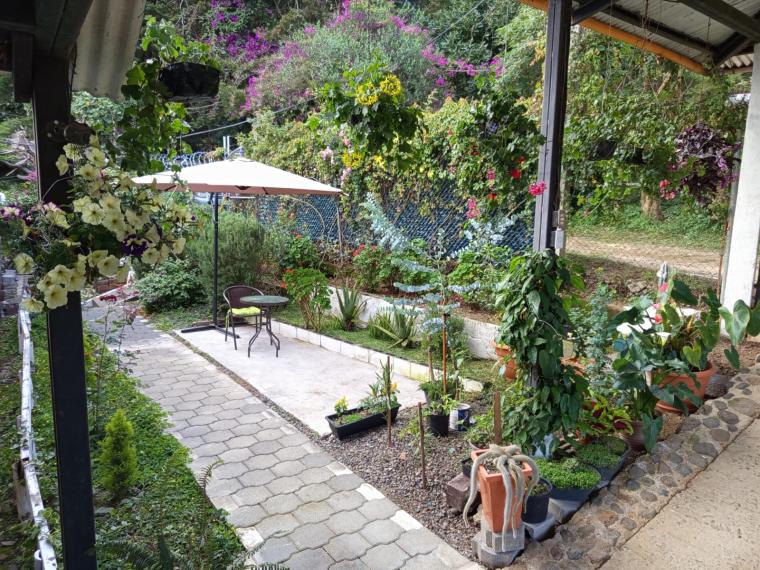 Galería
